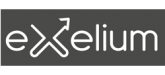Support mural EXELIUM FLAT 31L Support mural EXELIUM FLAT 31L
